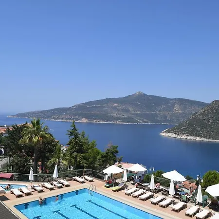 Happy Kalkan