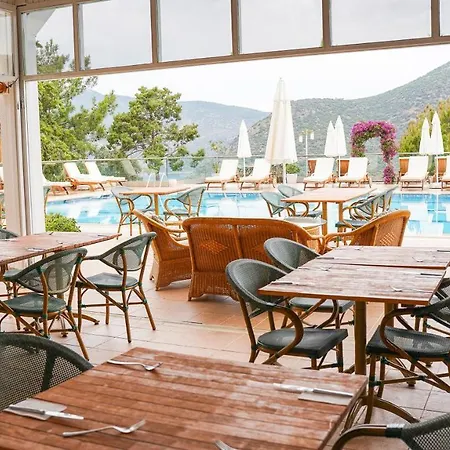 Happy Kalkan