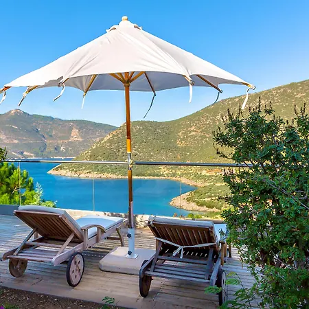 Happy Kalkan